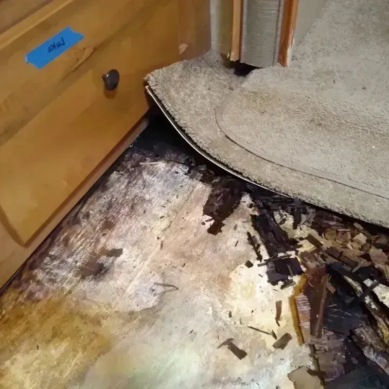 Wood Floor Water Damage in Oroville, WA